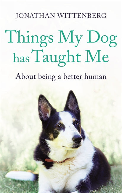 Things My Dog Has Taught Me - Re-vived