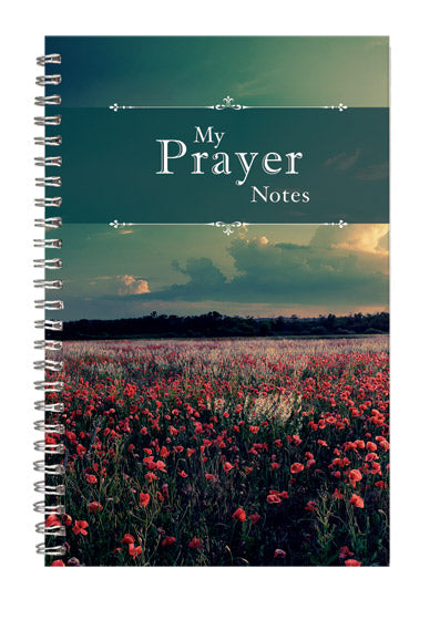 My Prayer Notes - Re-vived