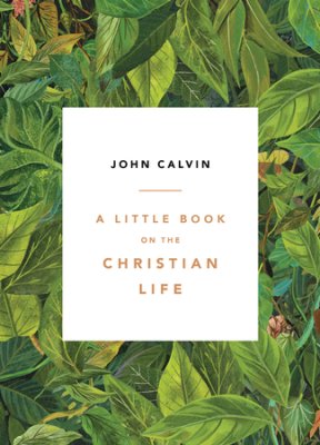 A Little Book On The Christian Life - Re-vived