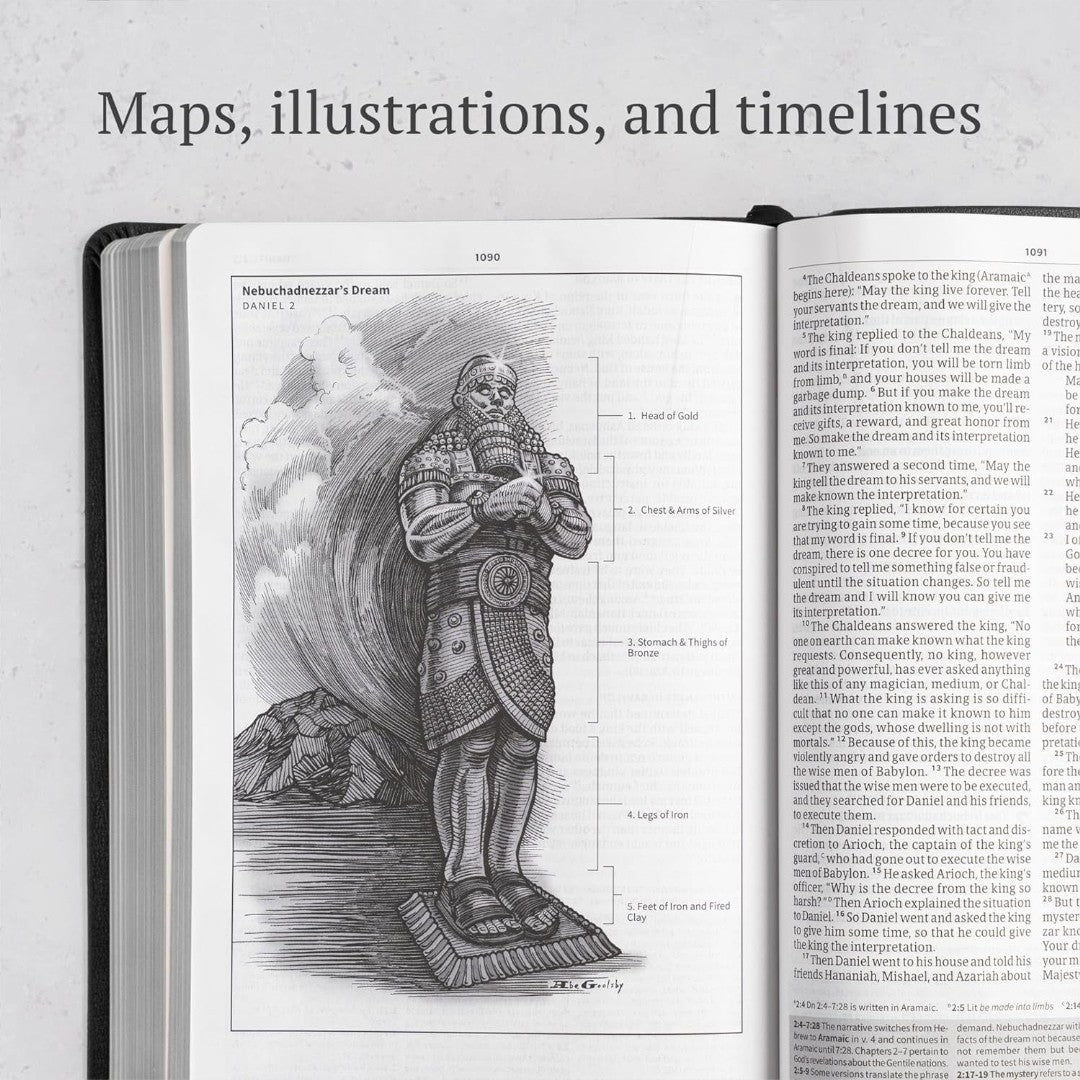 CSB Everyday Study Bible, Charcoal LeatherTouch - Re-vived