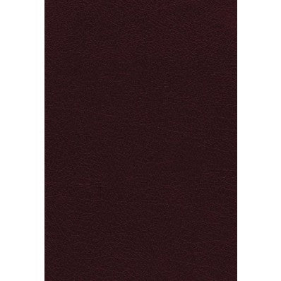 NKJV The Vines Expository Bible, Burgundy - Re-vived
