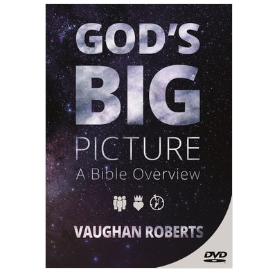God's Big Picture DVD - Re-vived
