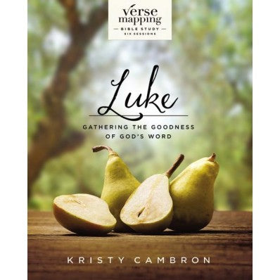 Verse Mapping Luke - Re-vived