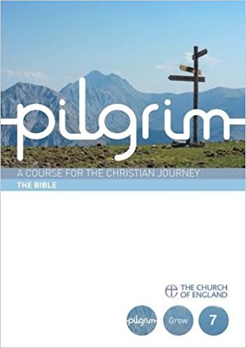 Pilgrim Book 7: The Bible (Pack of 25) - Re-vived