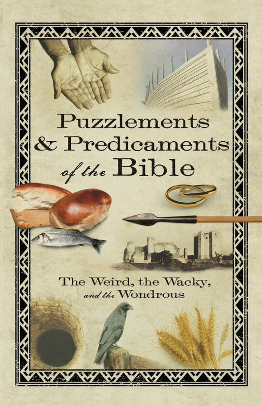 Puzzlements & Predicaments of the Bible - Re-vived