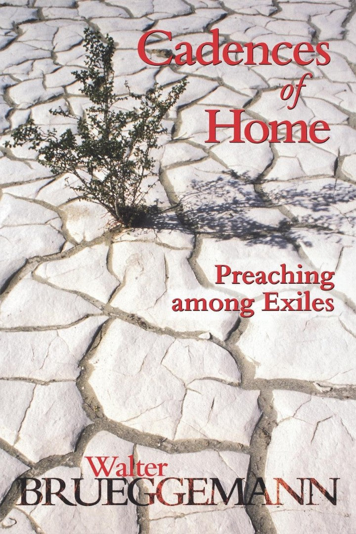 Cadences of Home - Re-vived