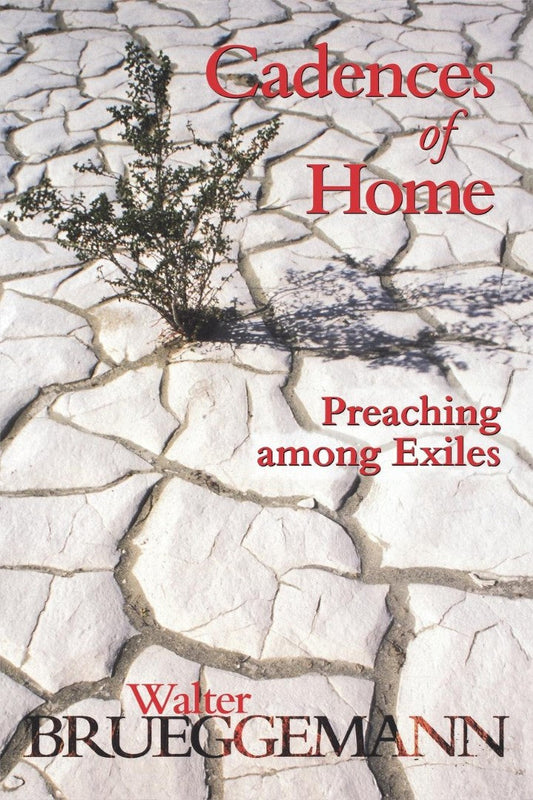 Cadences of Home - Re-vived