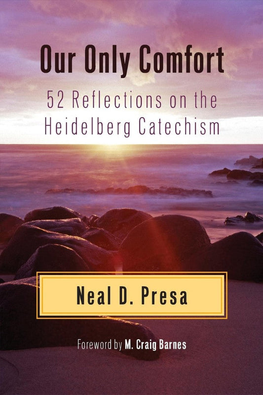 Our Only Comfort - Re-vived