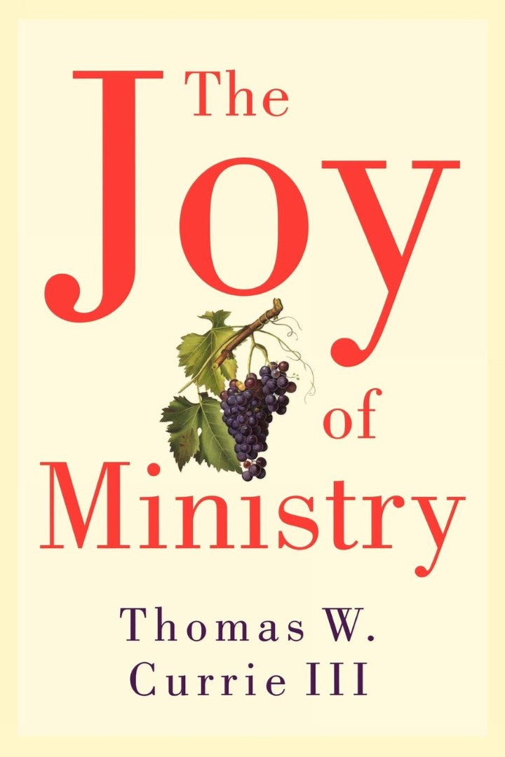 The Joy of Ministry - Re-vived