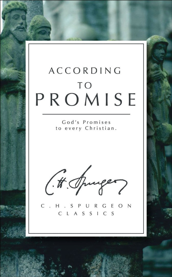 According To Promise - Re-vived