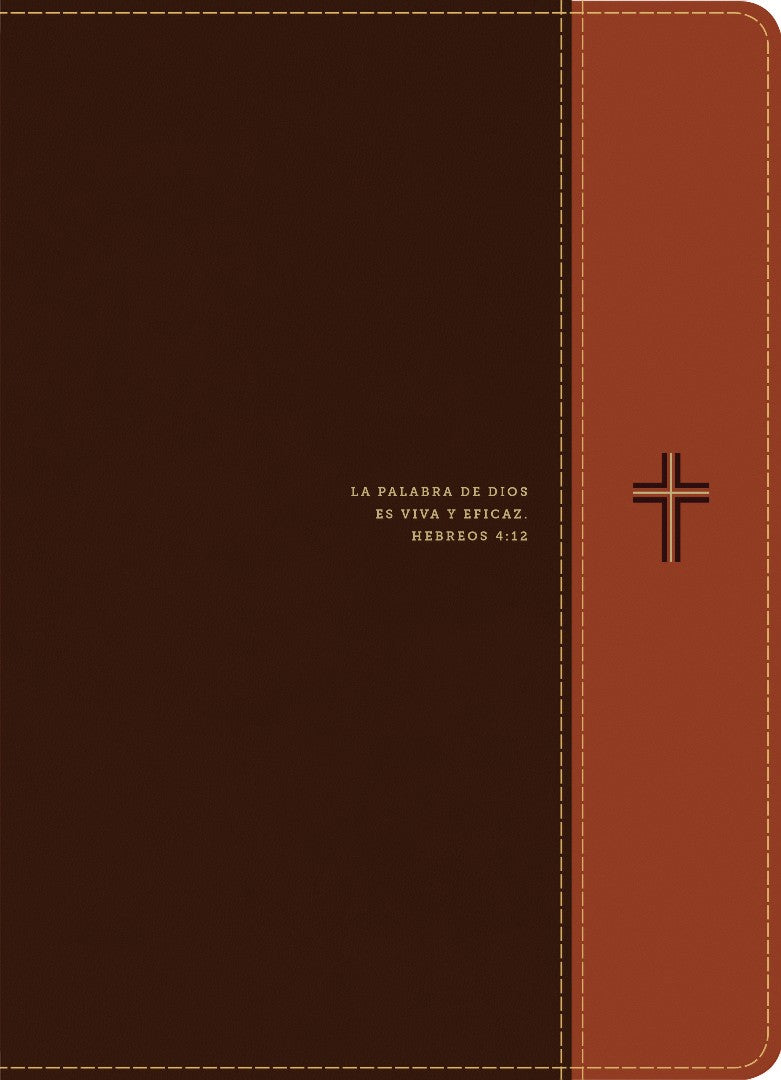 Biblia de estudio del diario vivir RVR60, letra grande - Re-vived