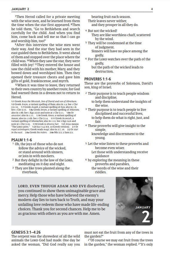 The NLT One Year Pray for Life Bible (Softcover) - Re-vived