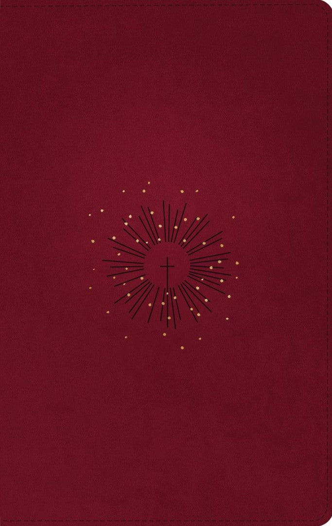 NLT Thinline Reference Bible, Filament Edition, Berry - Re-vived