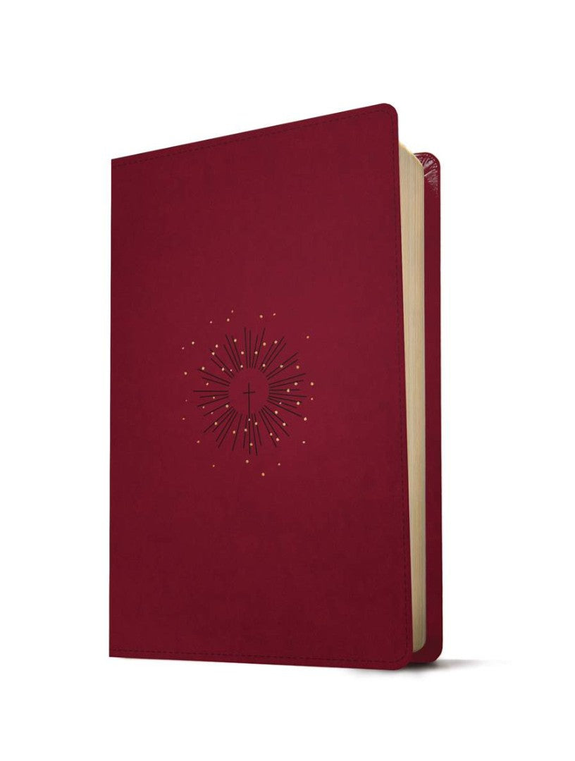 NLT Thinline Reference Bible, Filament Edition, Berry - Re-vived