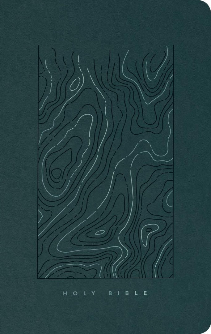NLT Thinline Reference Bible, Filament Edition, Teal - Re-vived