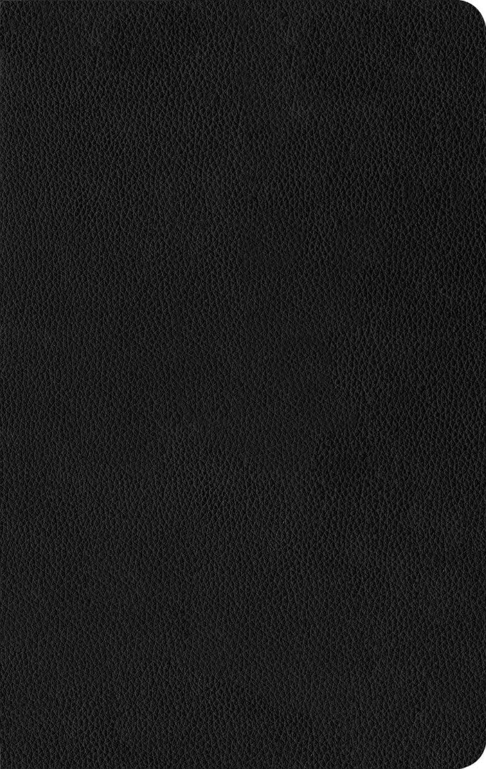 NLT Thinline Reference Bible, Filament Edition, Black - Re-vived