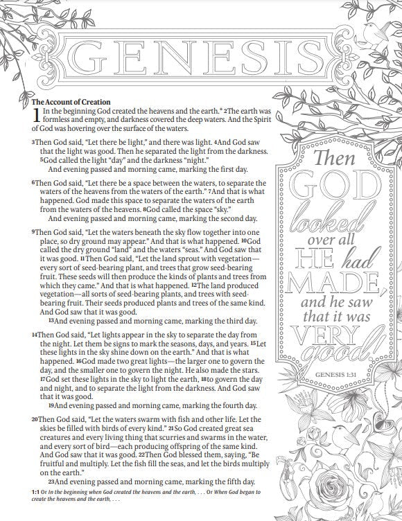 NLT Inspire Catholic Bible Large Print, Pink Fields - Re-vived