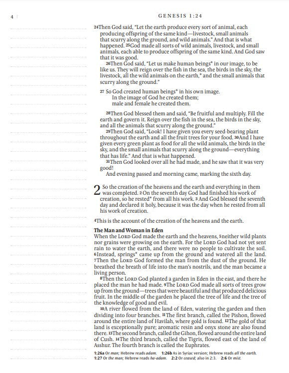 NLT Inspire Catholic Bible Large Print, Pink Fields - Re-vived