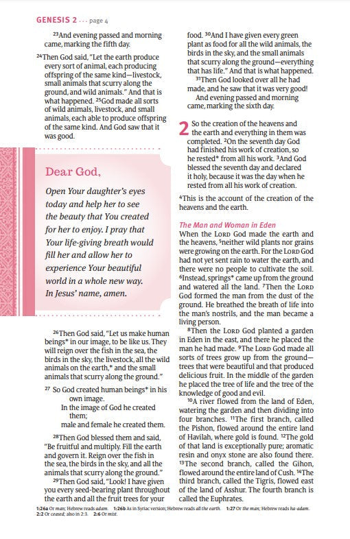 NLT THRIVE Devotional Bible for Women, Rose Metallic - Re-vived