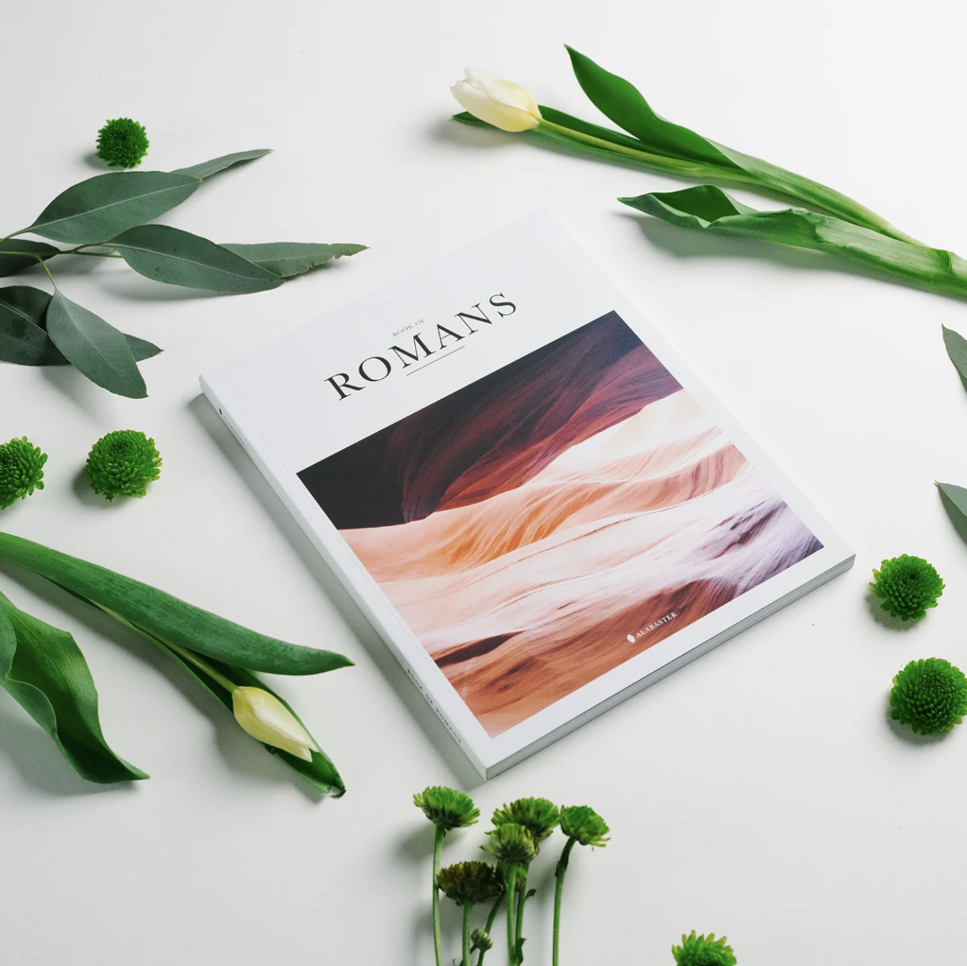 Book of Romans (Hardcover) - Re-vived
