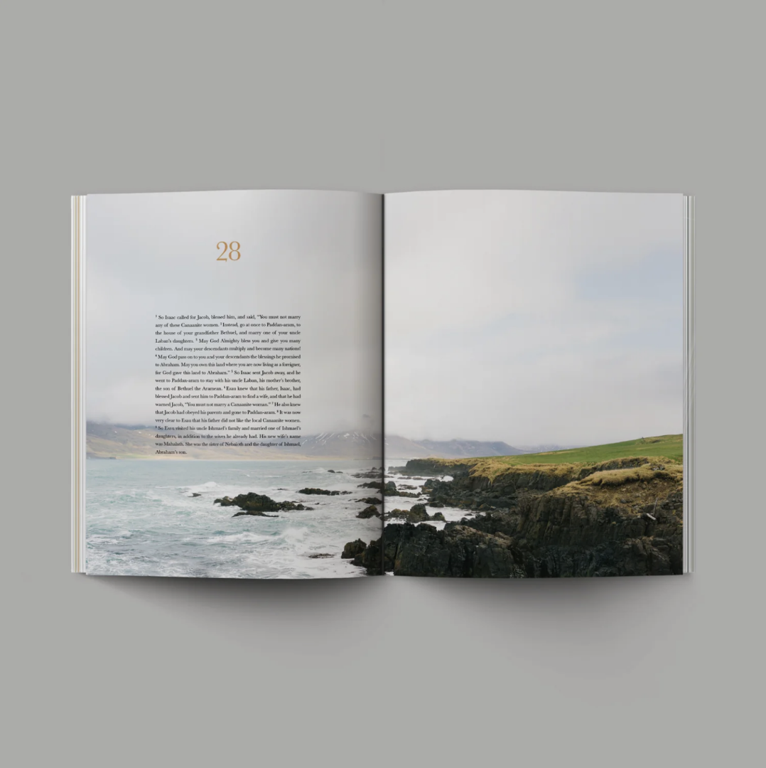 Book of Genesis (Hardcover) - Re-vived