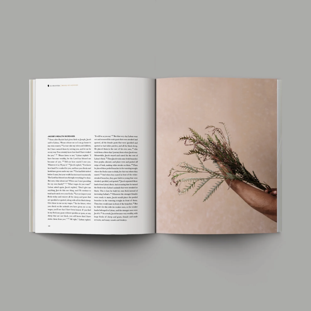 Book of Genesis (Hardcover) - Re-vived