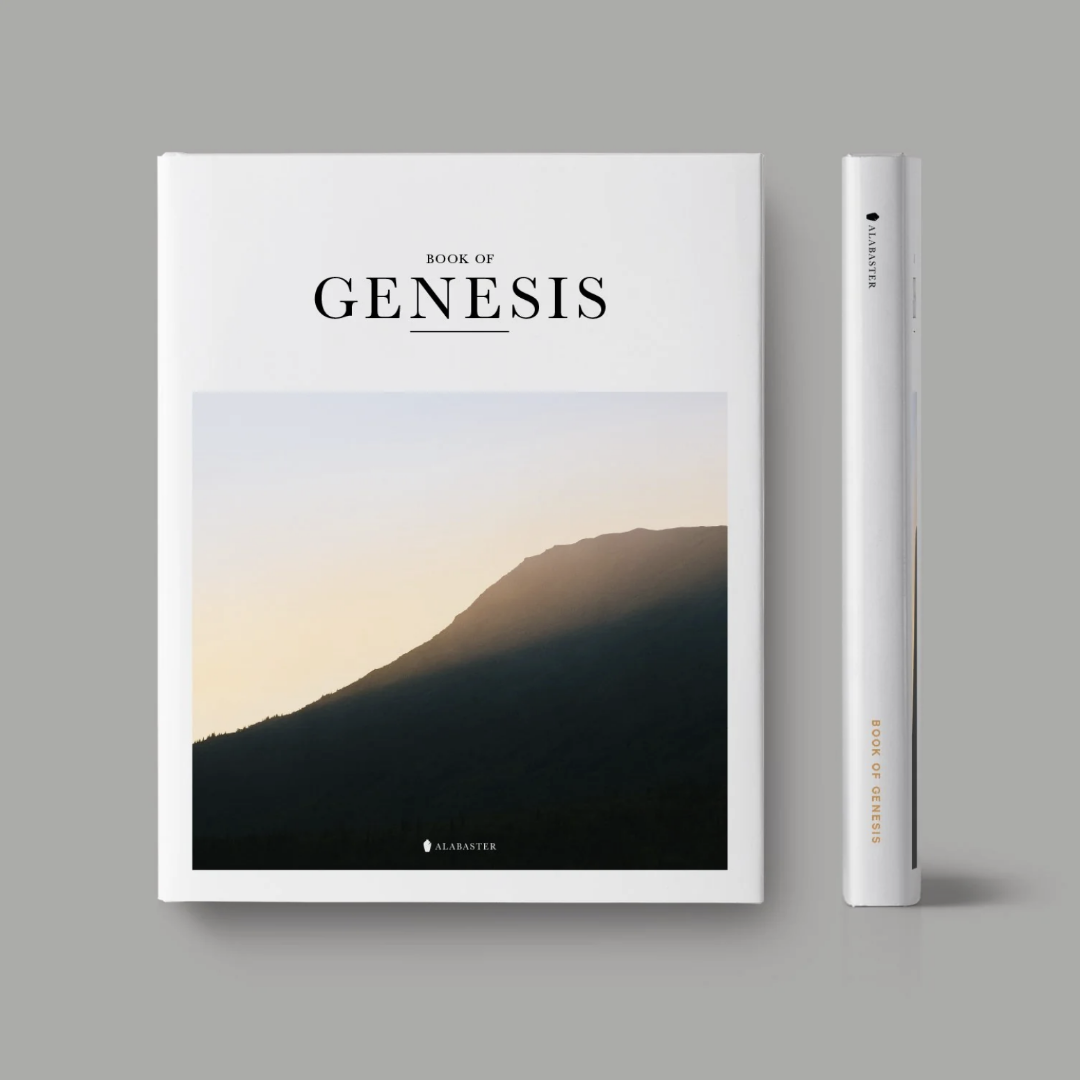 Book of Genesis (Hardcover) - Re-vived