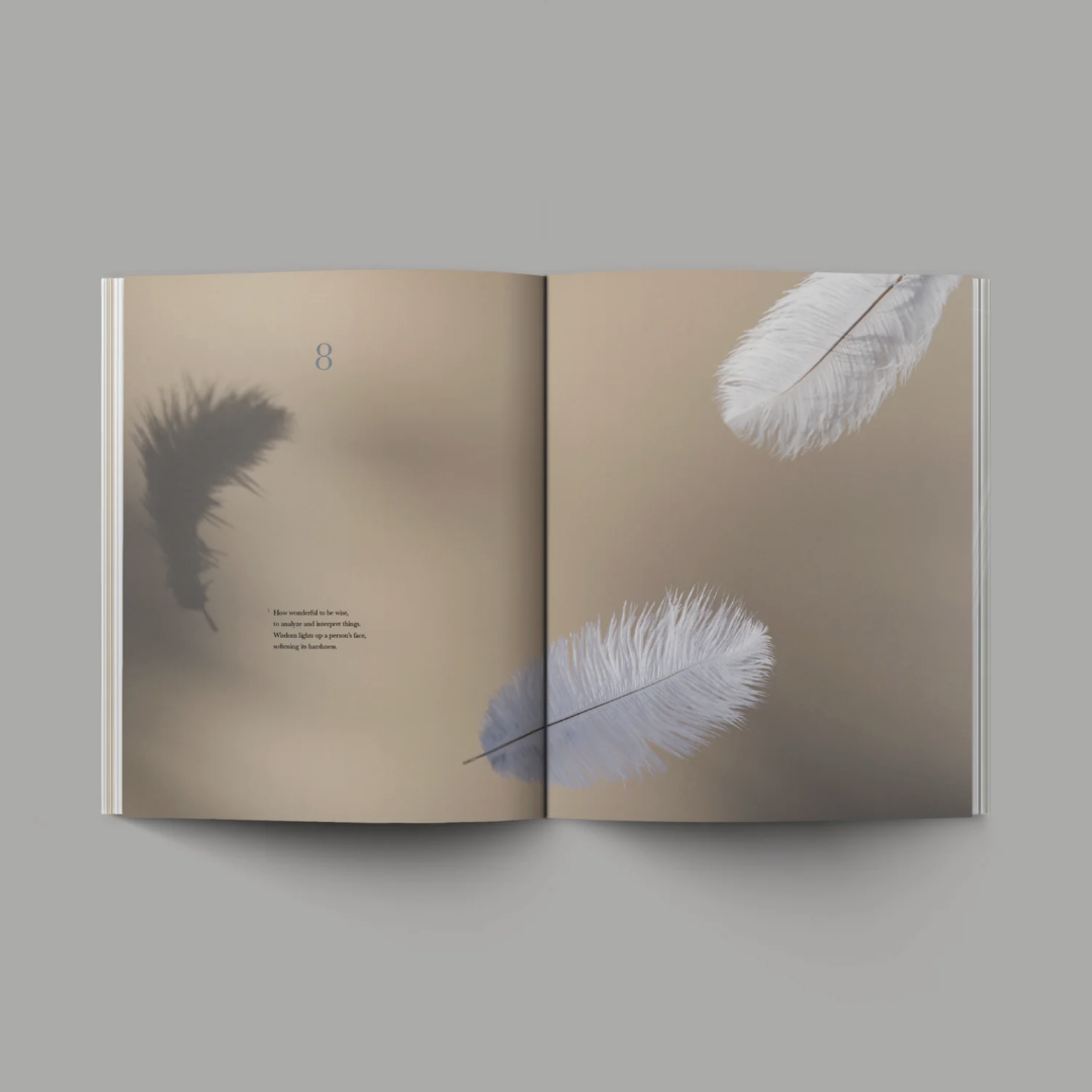 Book of Ecclesiastes (Hardcover) - Re-vived