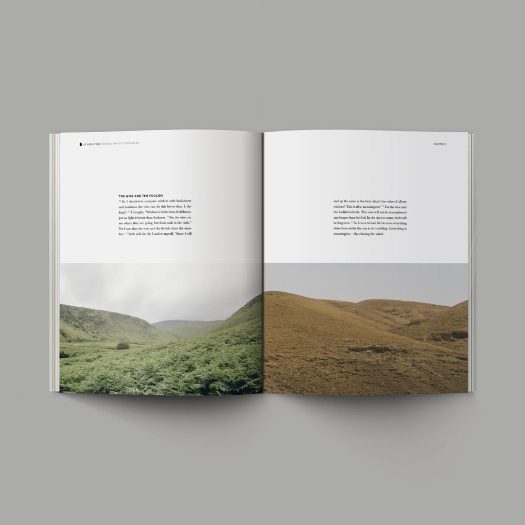 Book of Ecclesiastes (Hardcover) - Re-vived