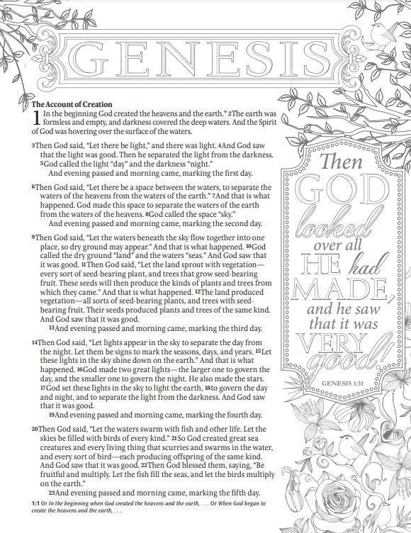 NLT Inspire Catholic Bible (LeatherLike, Dark Brown) - Re-vived