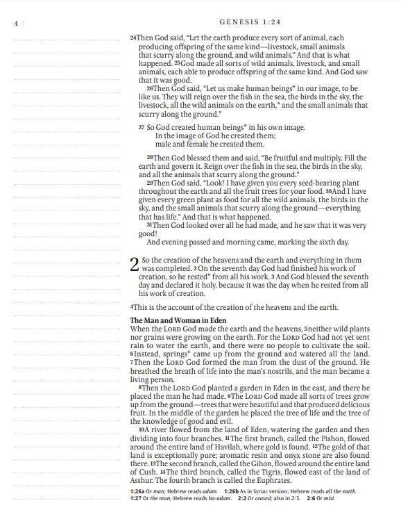 NLT Inspire Catholic Bible (LeatherLike, Dark Brown) - Re-vived