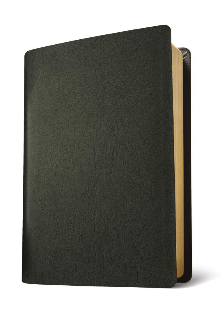 NLT Life Application Study Bible, Third Edition, Black - Re-vived