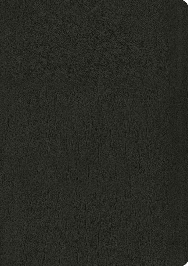 NLT Life Application Study Bible, Third Edition, Black - Re-vived