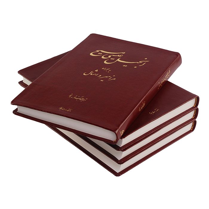 Persian New Testament with Psalms and Proverbs - Re-vived