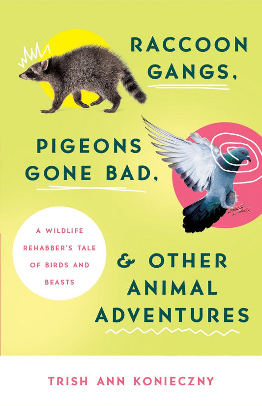 Raccoon Gangs, Pigeons Gone Bad, and Other Animal Adventures - Re-vived