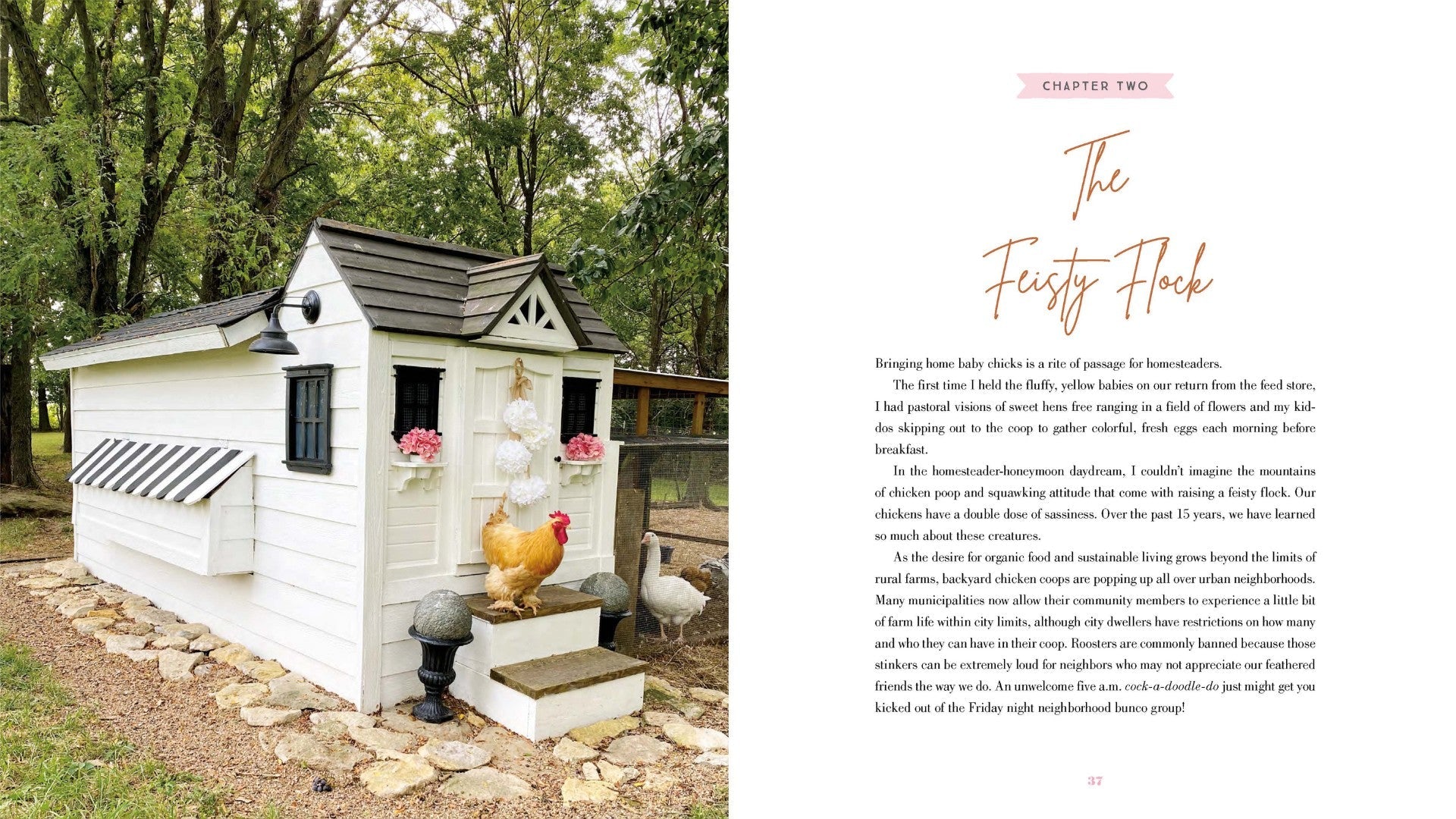 The Grace-Filled Homestead - Re-vived
