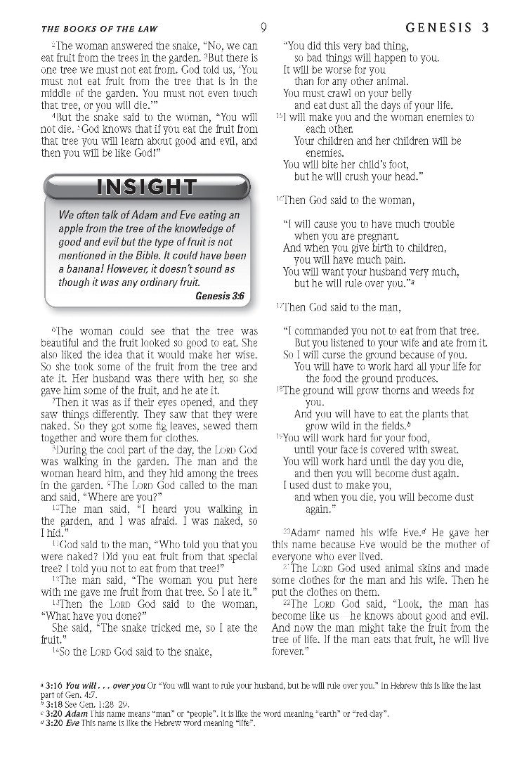 ERV Holy Bible Gospel of Matthew, Anglicized - Re-vived