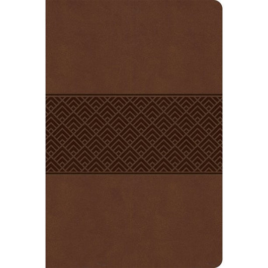 CSB Everyday Study Bible, Brown Burnished, Global - Re-vived