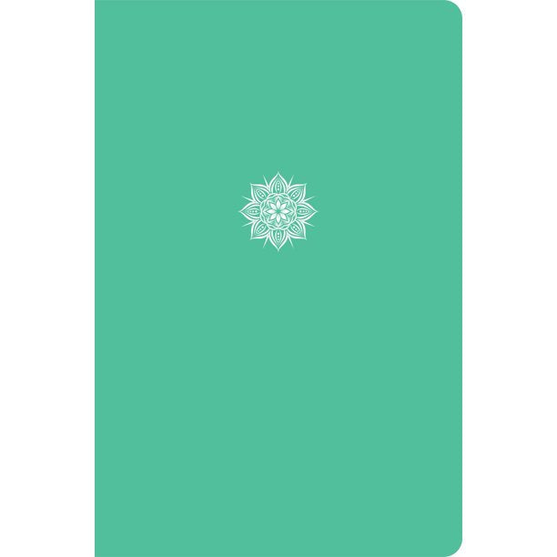 CSB Everyday Study Bible, Mint Color-Pop, Global - Re-vived