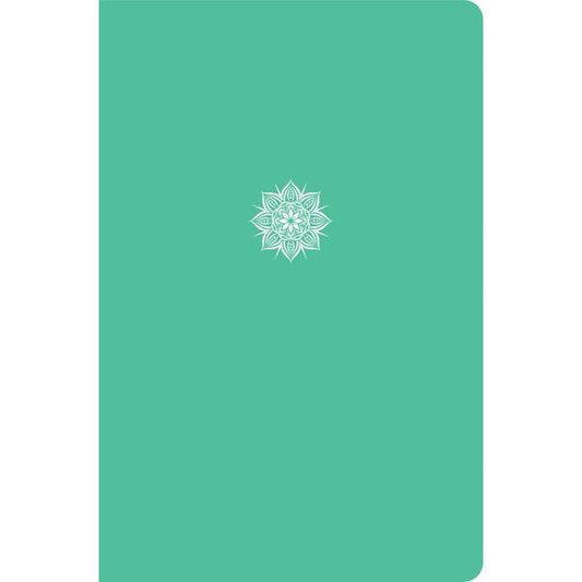 CSB Everyday Study Bible, Mint Color-Pop, Global - Re-vived