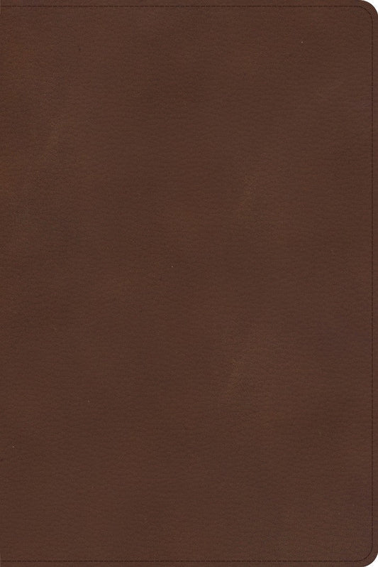 CSB Rainbow Study Bible, Brown LeatherTouch - Re-vived