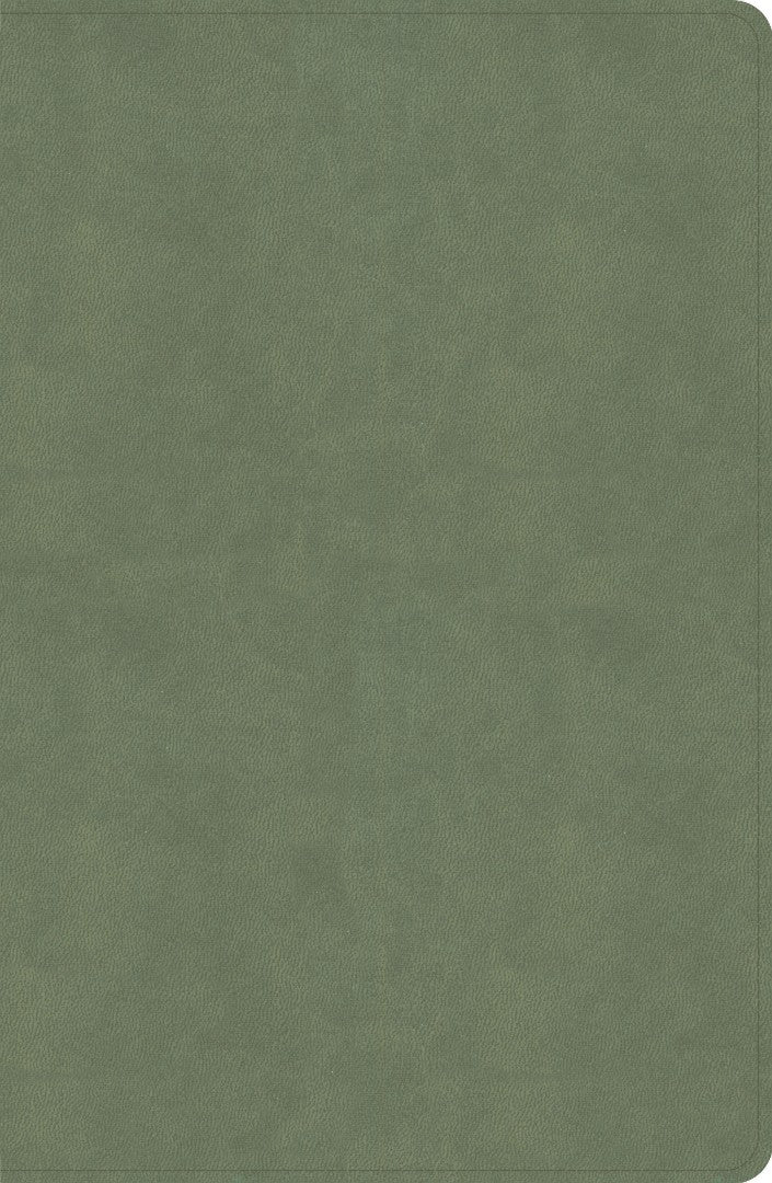 CSB Every Day with Jesus Daily Bible, Sage LeatherTouch - Re-vived