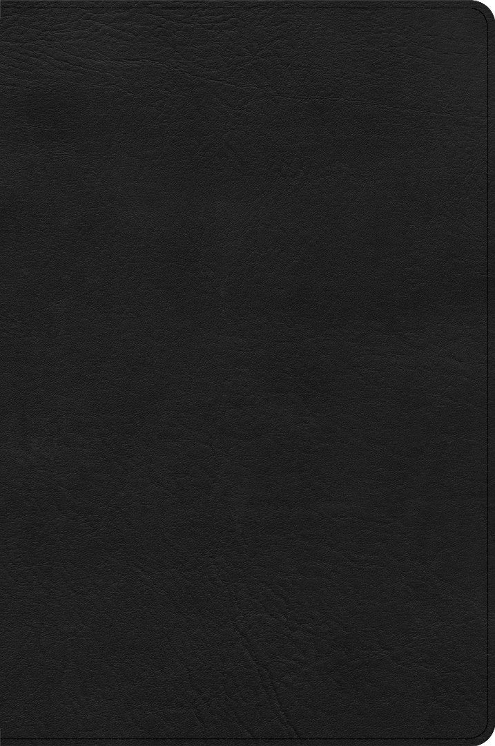 CSB Large Print Thinline Bible, Black LeatherTouch - Re-vived