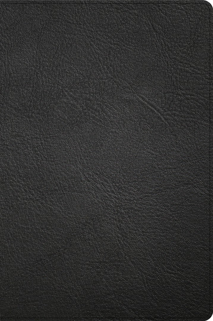 CSB Large Print Thinline Bible, Handcrafted Collection - Re-vived