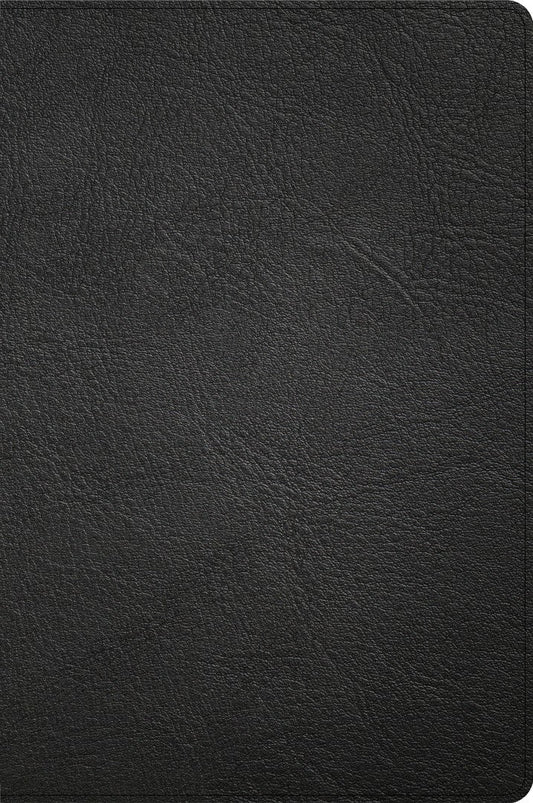 CSB Large Print Thinline Bible, Handcrafted Collection - Re-vived