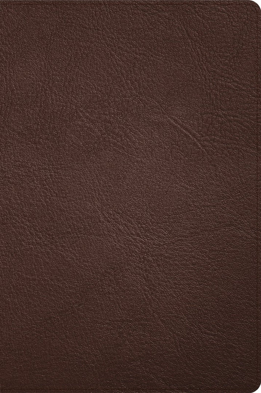 CSB Large Print Thinline Bible, Handcrafted Collection - Re-vived