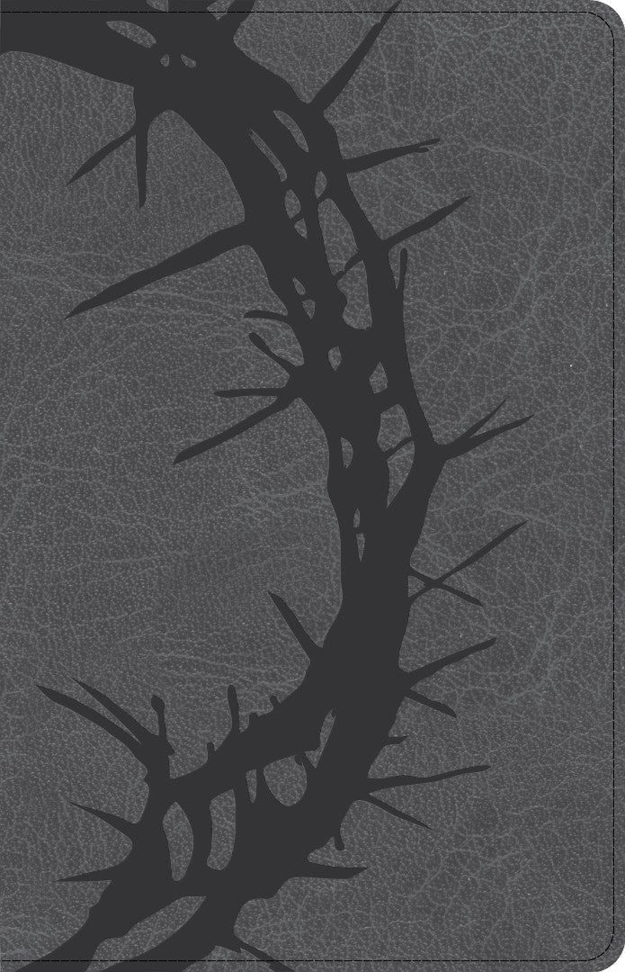 CSB Large Print Personal Size Reference Bible, Charcoal - Re-vived