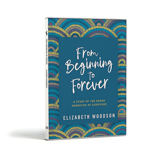 From Beginning to Forever DVD - Re-vived