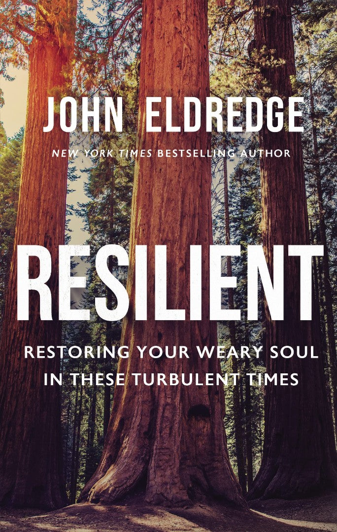 Resilient - Re-vived