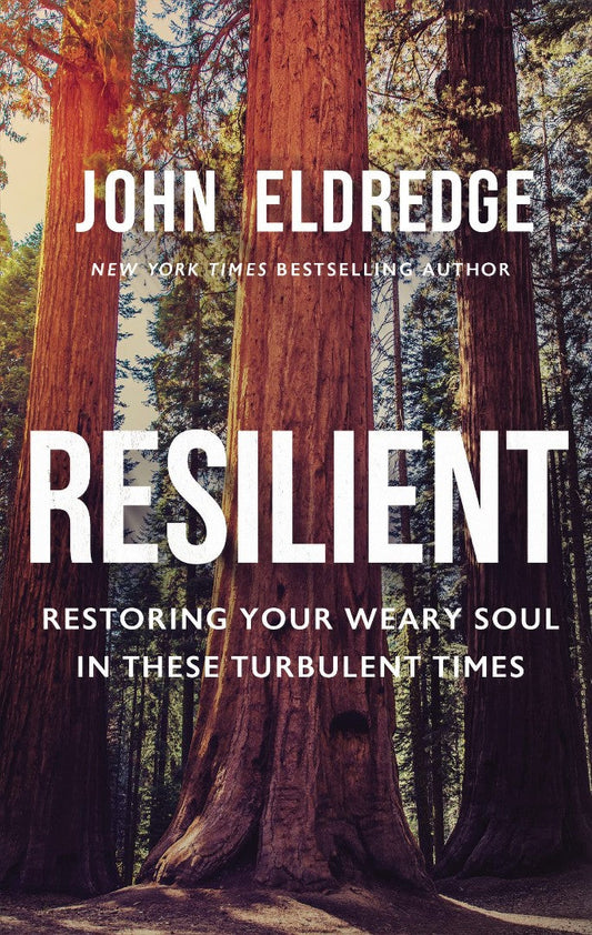 Resilient - Re-vived